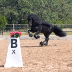 031_edited-1[1]