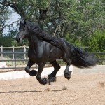 033_edited-1[1]