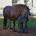 A Mother's Love - Klaske with Von van de Pluum