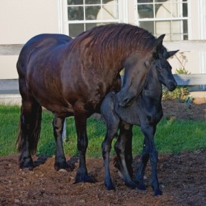 A Mother's Love - Klaske with Von van de Pluum