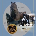 Cover3