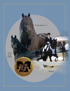 Cover3