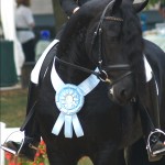EELTSJE CHAMP13