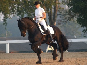 EELTSJE CHAMP5