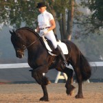 EELTSJE CHAMP5