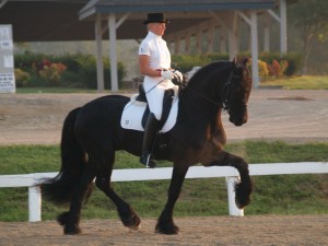 EELTSJE CHAMP7