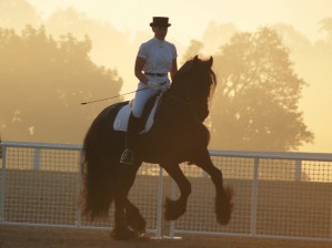 EELTSJE NICOLE FOG CHAMP