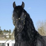 Wyn Headshot at 4 years old
