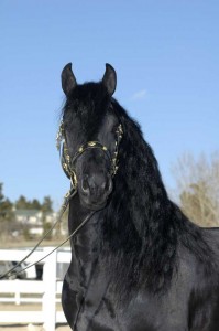 Wyn Headshot at 4 years old
