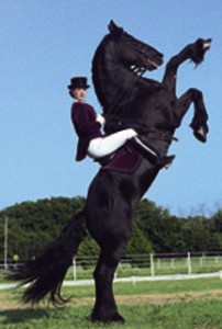This one just blows me away!