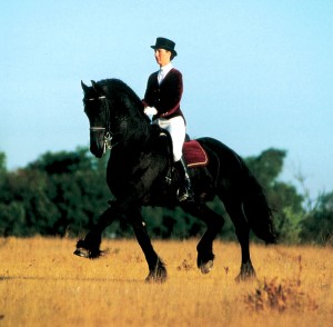 jor_trot