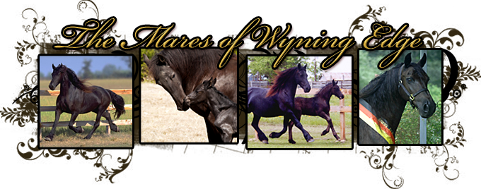The Mares Of Wyning Edge