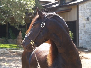 Zuum - 2.5 yrs