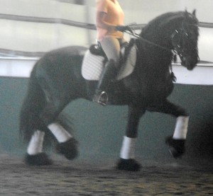 Nicole & Eeltsje - learning the Piaffe & Passage 5