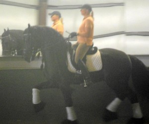 Nicole & Eeltsje - learning the Piaffe & Passage 3