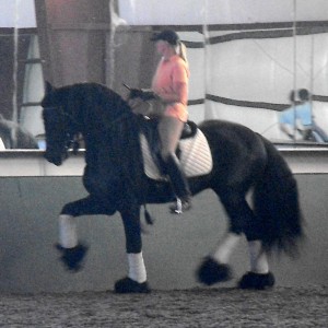 Nicole & Eeltsje - learning the Piaffe & Passage 2