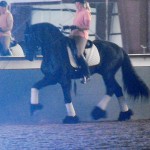 Nicole & Eeltsje - learning the Piaffe & Passage 1