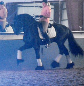 Nicole & Eeltsje - learning the Piaffe & Passage 1