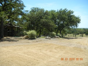 DSCN0097
