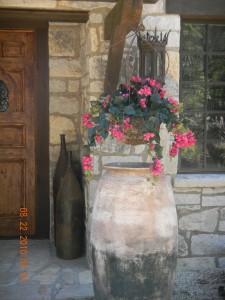 DSCN0102