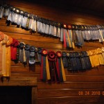 DSCN0129
