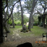 DSCN0136