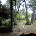DSCN0137