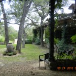 DSCN0138