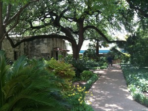IMG_0386