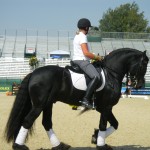 DSCN0186