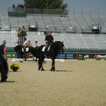 DSCN0195