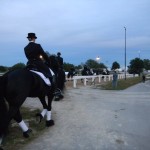 DSCN0233