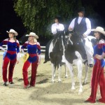 DSCN0282