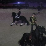 DSCN0300