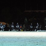 DSC_4781a