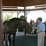 World's Highest Money Winning Racehorse - "Cigar" at 26 years of age
