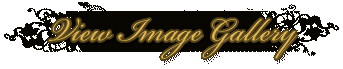 Click To View Image Gallery